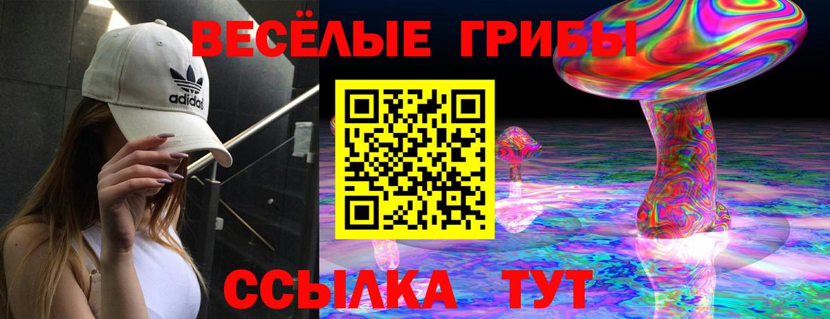 Псилоцибиновые грибы мицелий  Вход с VPN  Юрга 